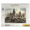 Image de Aquarius Harry Potter - Hogwarts (3000 pieces) Puzzel - Multicolours