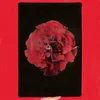 Image de Activity - A Thousand Years In Another Way (LP)