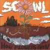 Image de How Flowers Grow