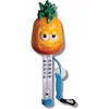 Image de thermometer meloen
