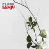 Image de Flook - Sanju (LP)