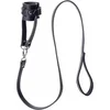 Image de Strict Ball Stretcher met hondenriem