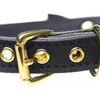 Image de Master Series Golden Kitty Collar Met Kattenbelletje - Zwart/Goud