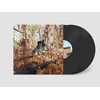 Image de Billy Woods - Golliwog (2 LP)