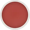 Image de PanPastel - Permanent Red Shade