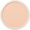 Image de PanPastel - Red Iron Oxide Tint