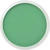 Image de PanPastel - Permanent Green
