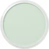 Image de PanPastel - Permanent Green Tint
