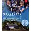 Image de Waldbuehne 2016 - Czech Night