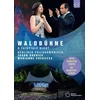 Image de Waldbuhne 2019 - Midsummer Night Dreams