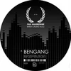 Image de Paul Kalkbrenner - Berlin Calling Vol. 2 (12" Single)