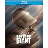 Image de The Iron Giant