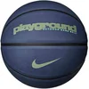 Image de Nike Everyday Playground 8P Basketbal