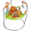 Image de Fisher Price JUMPEROO RAINFOREST