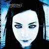 Image de Evanescence - Fallen (LP)