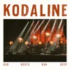 Image de Kodaline - Our Roots Run Deep (2 LP) (Coloured Vinyl)