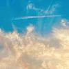 Image de Thirty Seconds To Mars - It's The End Of The World But It's A Beautiful Day (LP)