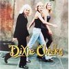 Image de Dixie Chicks - Wide Open Spaces (LP) (Reissue) (Remastered)