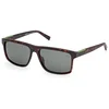 Image de Timberland TB00006 Dark havana 58/15/145 MAN Zonnebrillen