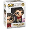 Image de Funko Pop! Movies: Harry Potter - Harry Potter with Winged #131 - Summer convention Exclusive