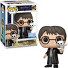Image de Funko POP! HARRY POTTER 197 Harry with Hedwig EXCLUSIVE