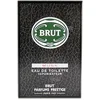 Image de Brut MUSK edt 100 ml