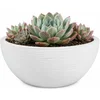 Image de EDA Bloempot / plantenpot schaal Graphit - rond - kunststof - creme wit - D25 x H11 cm