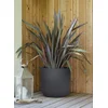 Image de EDA plantenbak BASALT UP rond 385 mm antraciet