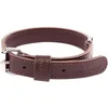 Image de Halsband voor hond  dubbel gestikt bruin 30 mmx65 cm