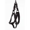Image de Nylon Tuig Martin - Zwart 30-50 cm - Stevig, Kliksysteem, Maat S