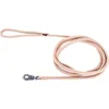Image de Hondenriem nylon rond beige