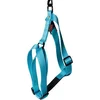 Image de Tuig voor hond nylon uni turquoise 20 mmx50-70 cm