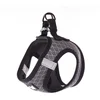 Image de Hondengordel van mesh Martin Sellier