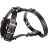 Image de Tuig voor hond intervention leer vilt zwart 21 mmx65 cm