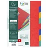 Image de Exacompta Tabbladen in glanskarton 225g - 8 tabs - A4 - Geassorteerd - 1408E