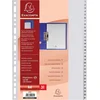 Image de Exacompta Tabbladen met bedrukte tabs in gerecycled PP - 31 tabs -1 tot 31 - A4 - Grijs - 1931E