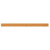 Image de CANSON tekenpapier Mi-Teintes, 500 x 650 mm, groen