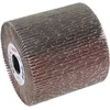 Image de Bosch Lamellenschuurwals 19 mm