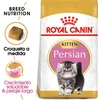 Image de Royal Canin Persian Kitten - 10 kg - Kattenvoer