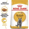 Image de Royal Canin British Shorthair Adult - 10 kg - Kattenvoer Brokjes
