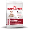 Image de Royal Canin Medium Starter Mother & Babydog - Hondenvoer - 12 kg