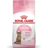 Image de Royal Canin Kitten Sterilised - 3.5 kg - Kattenvoer Brokken