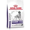 Image de Royal Canin Dental - Hondenvoer - 13 kg