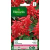 Image de Vilmorin - Salvia - Vuurgloed - V238