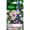Image de Vilmorin Dagschone- Morning glory- Belle de Jour mix V110F