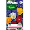 Image de Vilmorin - Viooltje - Printania gemengd - V206