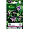 Image de Cobea Klimmende - Cobea scandens