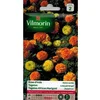 Image de Tagetes Dwerg Gemengd