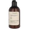 Image de L'Occitane 5 Essential Oils Essential Oils Gentle Conditioner 250ml