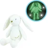 Image de JEMINI Luminou Wit konijn Natuurlijke lichtgevende knuffel werkt zonder batterij +/- 20 cm